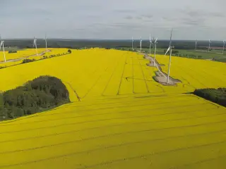 Obraz Foto-wideo z drona