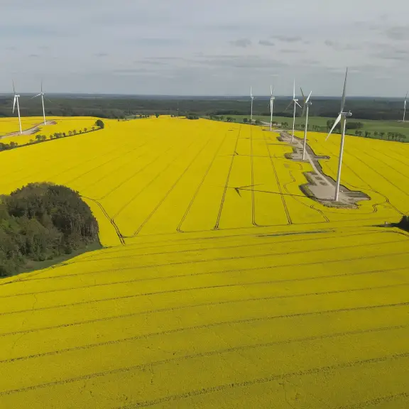 Obraz Foto-wideo z drona